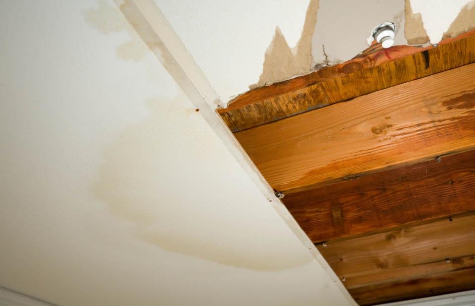 Water Damage Restoration Fort Collins CO